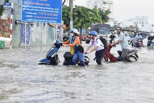 Sống chung với triều cường