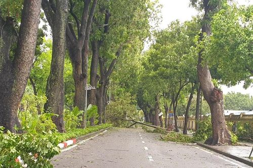 Tìm lại màu xanh cho Thủ đô