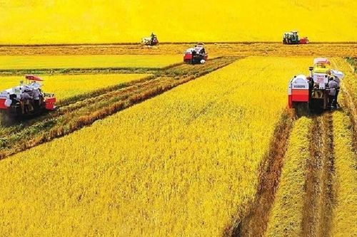Quá trình nghiên cứu công điền ở Nam Kỳ Lục tỉnh
