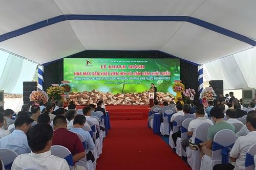Bình Định khánh thành 2 nhà máy sản xuất viên nén và dăm gỗ xuất khẩu