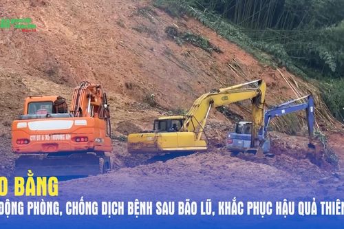 CAO BẰNG: Chủ động phòng, chống dịch bệnh sau bão lũ, khắc phục hậu quả thiên tai