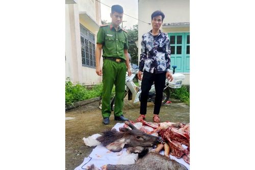 Bị phát hiện đang xẻ thịt nai rừng