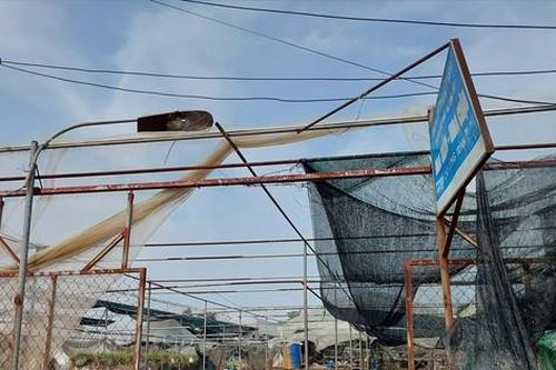 Quỹ Phòng chống thiên tai dư gần 2.000 tỷ: Cần được sử dụng ra sao?