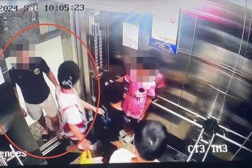 Công an vào cuộc vụ cô gái bị kẻ biến thái sàm sỡ tại thang máy chung cư