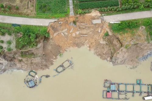 Phú Thọ: Đê Sông Lô sạt lở nghiêm trọng