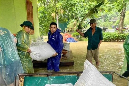 Con Cuông sơ tán 55 hộ dân vùng ngập lụt