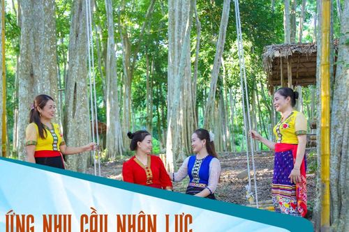 Bài 2: Doanh nghiệp, địa phương 'tự bơi', 'tự cứu'?!