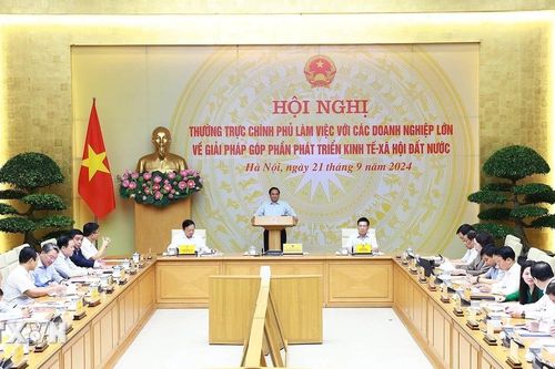 Người cả đời trân quý mẹ Thiên nhiên 'hiến kế' phát triển 'rừng vàng'