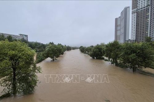 Mưa lớn hoành hành phía Nam Hàn Quốc