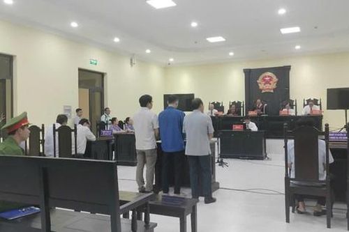 Lập khống hồ sơ chiếm đoạt tiền, cha con 'đại gia' điện gió miền Tây lĩnh 14 năm tù