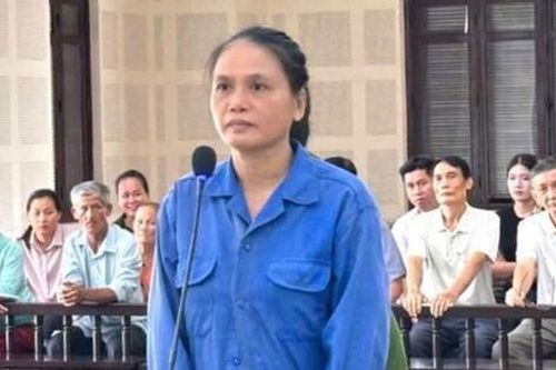 Đang được tại ngoại vì mang thai, vẫn 'tranh thủ' lừa đảo gần 11 tỷ đồng