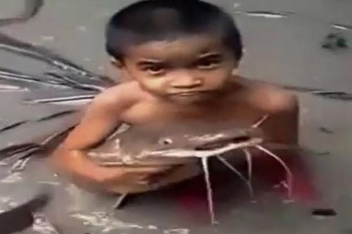 CLIP: Cậu bé vô tư chơi đùa bên bầy cá trê khổng lồ, một cảnh tượng khiến nhiều người vừa ngạc nhiên vừa thích thú