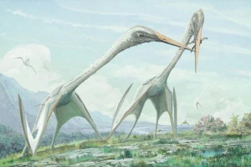 Jordan: Lộ diện 2 quái vật bay sải cánh lên đến 5-10 m