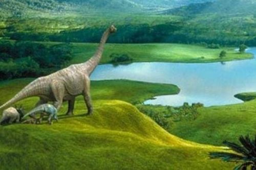 Kẻ thống trị trái đất trước thời khủng long là loài kỳ nhông, nếu còn tồn tại, liệu khủng long có còn cơ hội bá chủ