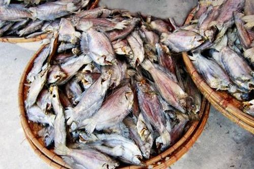 Loại cá xưa ít ai ăn, giờ phơi khô thành đặc sản được mua rần rần, 400.000 đồng/kg