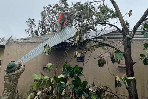 Thị trường xây dựng, sửa chữa nhà cửa sau bão: Nguồn cung vật liệu ổn định, chi phí nhân công tăng