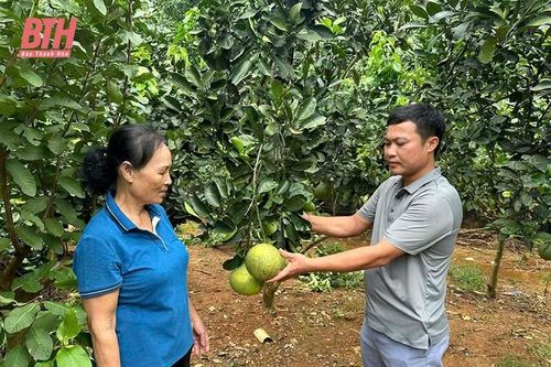 Trưởng thôn nhiệt huyết với công việc tập thể