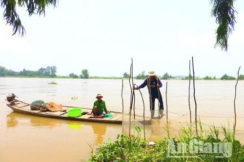 'Đã mắt' xem con cá linh ở đầu nguồn