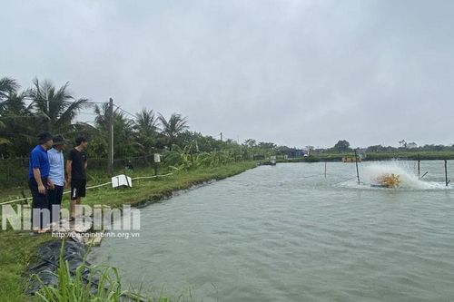 Hiệu quả các mô hình kinh tế của thanh niên xã Văn Hải