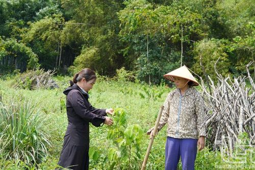 Định Hóa chăm lo đời sống đồng bào dân tộc thiểu số