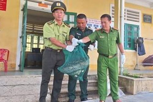Phú Lộc: Thêm 1 cá thể trăn gấm quý hiếm được thả về tự nhiên