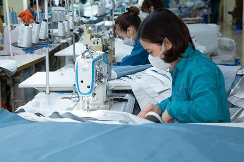 Gilimex phát hành cổ phiếu trả cổ tức với tỷ lệ hơn 45%