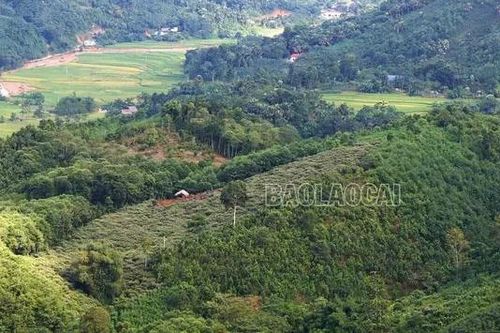 Khởi công xây dựng khu tái định cư Làng Nủ