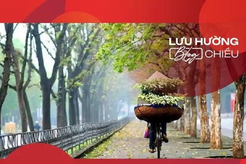 Tháng Tám về thơm mấy nhánh heo may