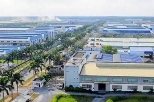Cổ phiếu Tân Tạo bị buộc dừng mua bán