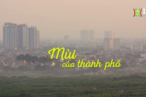 Hương thu Hà Nội