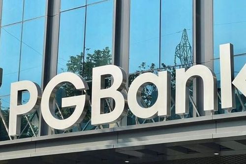 Lộ diện loạt cổ đông nắm giữ 97% vốn điều lệ tại PG Bank