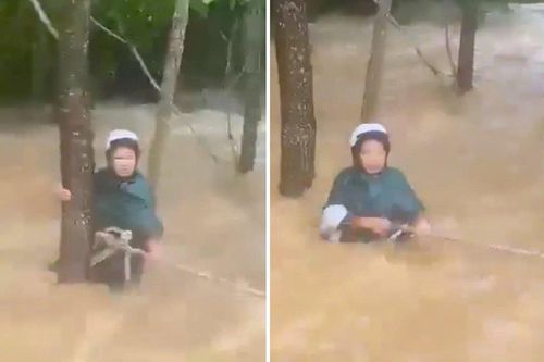 Bị lũ cuốn trôi, người phụ nữ thoát chết nhờ bám vào gốc cây