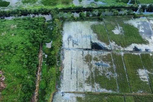 Hình ảnh 'kinh hoàng' xung quanh bãi chôn lấp rác của Công ty CP Môi trường Nam Định