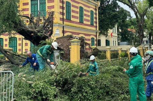 Vì sao mẹ thiên nhiên 'nổi giận'?