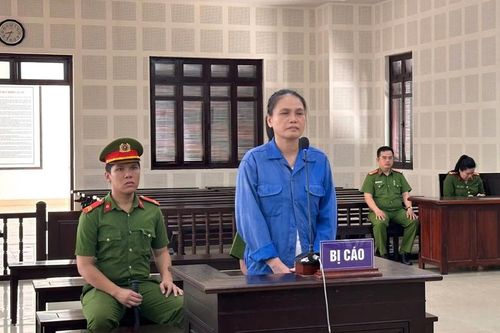 Đang được tại ngoại vì mang thai vẫn tiếp tục lừa đảo gần 11 tỉ đồng