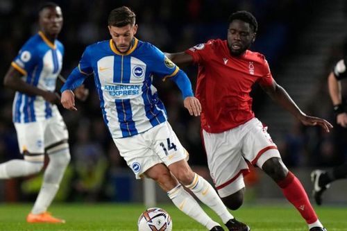 Nhận định, dự đoán Brighton vs Nottingham Forest: Căng thẳng tột cùng