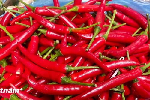 Bạn có biết vì sao một số người lại nghiện ăn ớt cay?