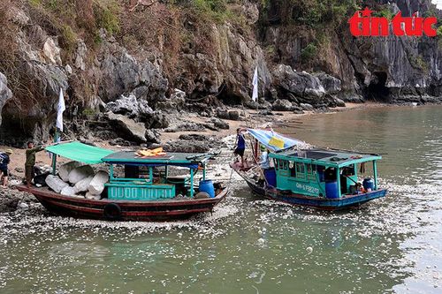 Thu dọn hàng trăm khối rác dạt vào Vịnh Hạ Long sau bão số 3