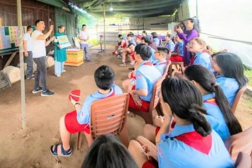 Thừa Thiên Huế: Tô màu di sản và trò chơi trí nhớ nghệ thuật Huế