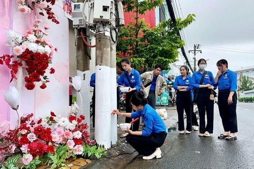 Tỉnh đoàn tổ chức lễ phát động hưởng ứng 'Ngày Chủ nhật xanh' toàn quốc