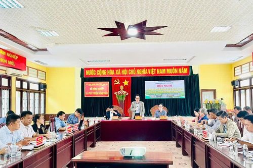 Gia Lai: Bàn giải pháp phát triển bền vững cây sắn