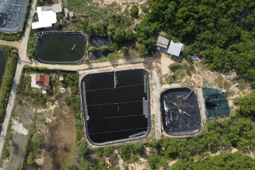 Phản hồi: UBND thị xã Ninh Hòa: Chỉ đạo UBND xã Ninh Phú lập hồ sơ xử phạt vụ làm trại nuôi tôm trên đất rừng