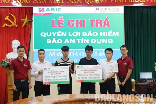 Chi trả trên 530 triệu đồng cho khách hàng tham gia bảo hiểm Bảo an tín dụng