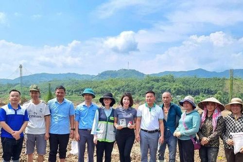 Hỗ trợ 200 kg ngô giống cùng vật tư nông nghiệp để Nhân dân xã Bảo Hà khôi phục sản xuất