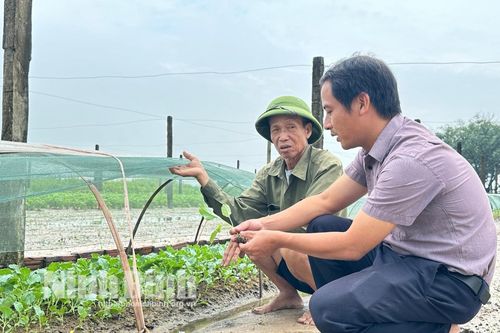 Gia tăng sản xuất, đảm bảo nguồn cung rau xanh sau mưa bão