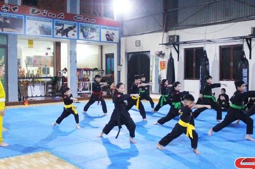 Phát huy tinh hoa võ cổ truyền