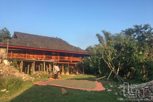 Chính sách đất đai dành cho người dân tộc thiểu số: Hiệu quả, thiết thực