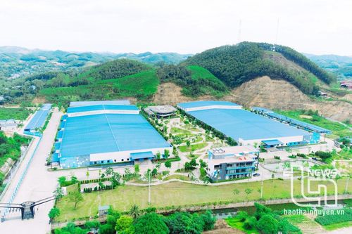 Thái Nguyên làm gì để nâng hạng Chỉ số Xanh?