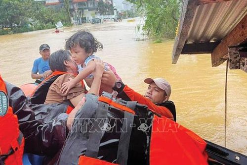 Người dân tập trung vào an ninh lương thực