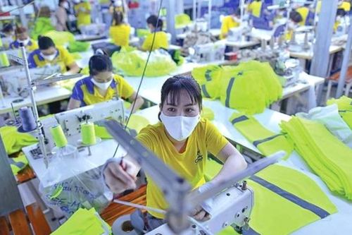 Công ty Gilimex (GIL) muốn phát hành hơn 31 triệu cổ phiếu để trả cổ tức